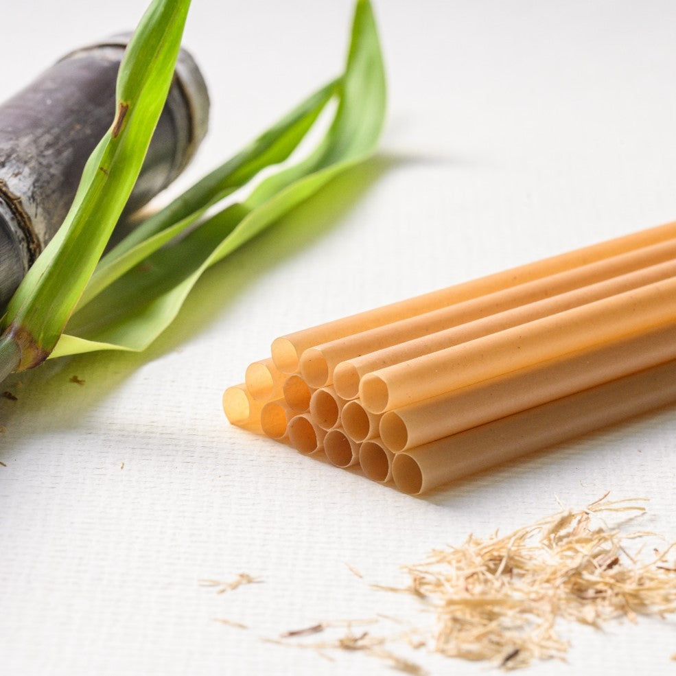 Sugarcane Straws