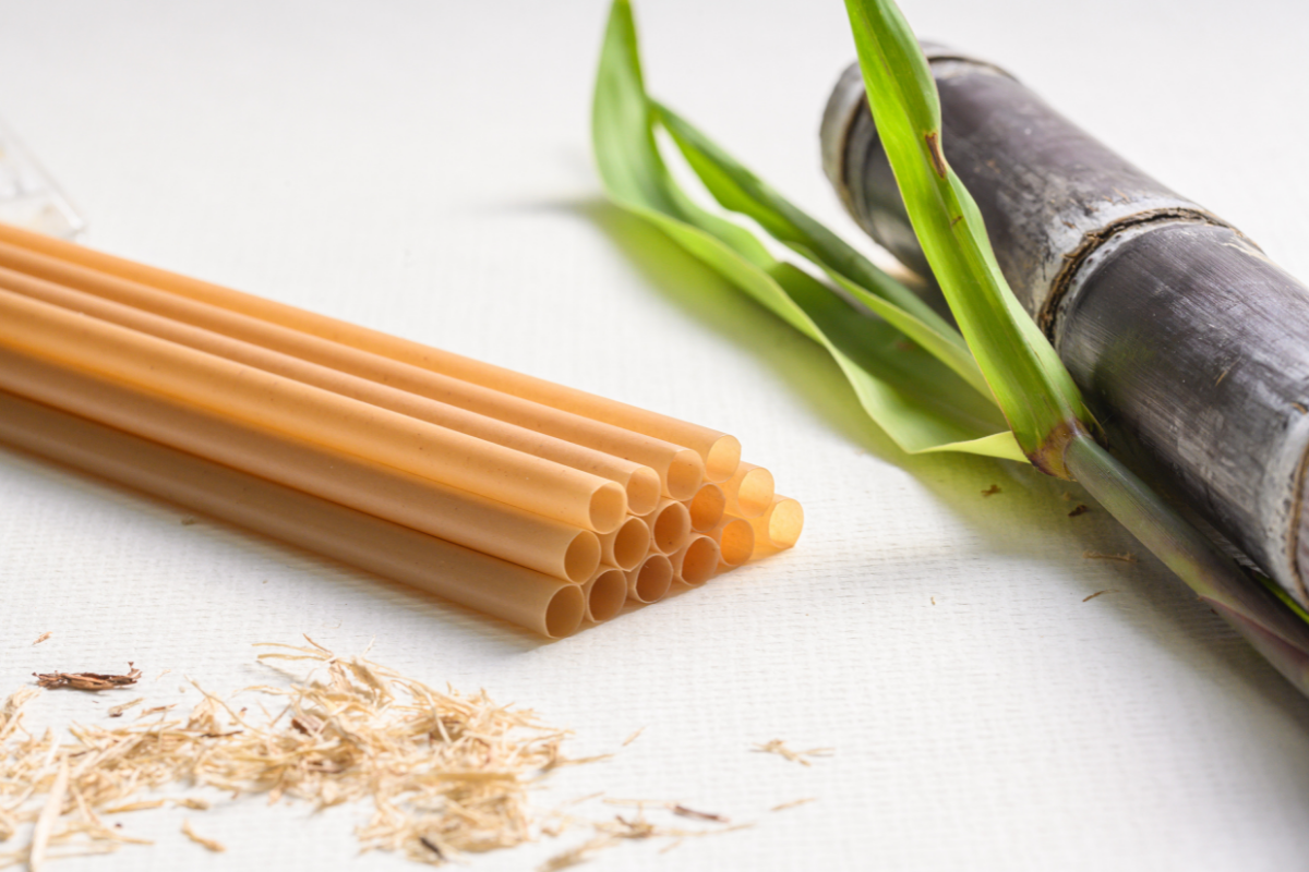 Sustainable Disposable Straws